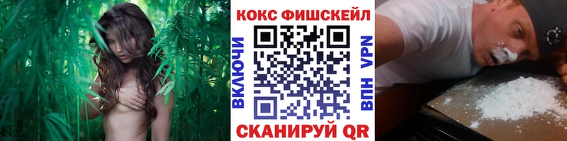 Cocaine VHQ где найти это Telegram Суоярви