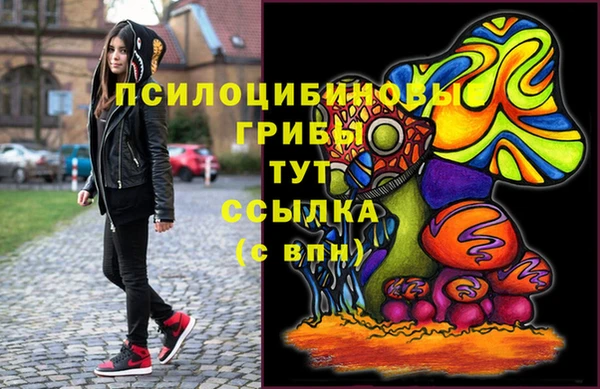 амф Нефтекумск