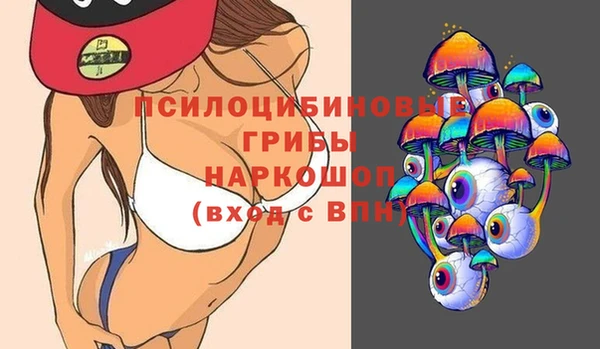 амф Нефтекумск